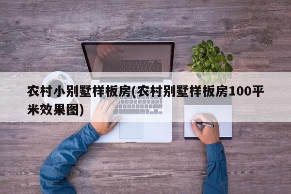 农村小别墅样板房(农村别墅样板房100平米效果图)