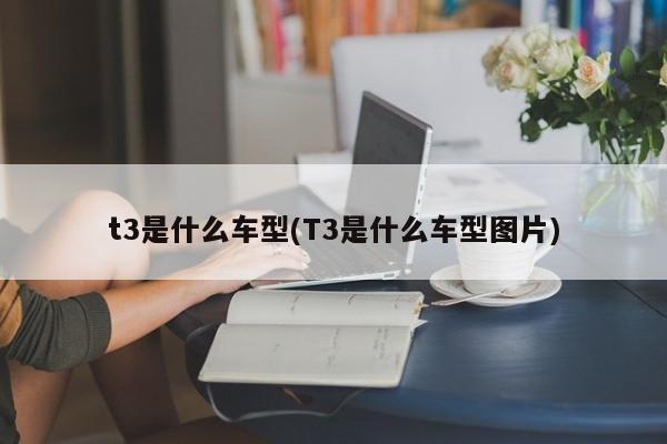 t3是什么车型(T3是什么车型图片)