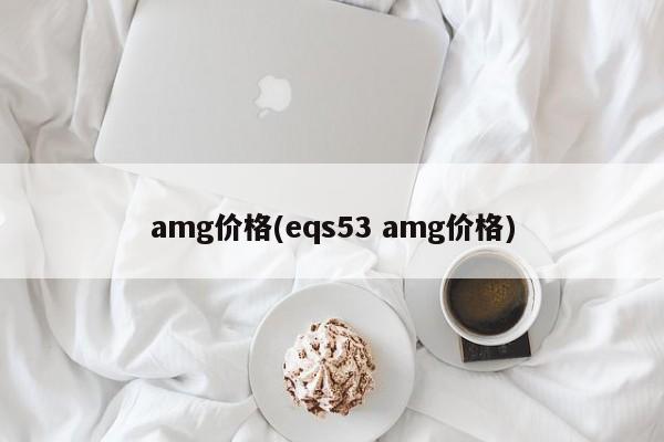 amg价格(eqs53 amg价格)