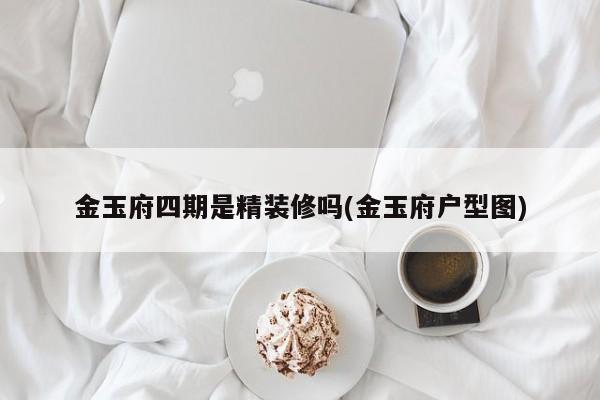 金玉府四期是精装修吗(金玉府户型图)