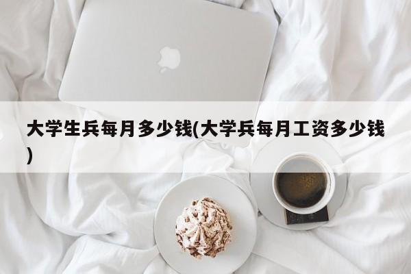 大学生兵每月多少钱(大学兵每月工资多少钱)