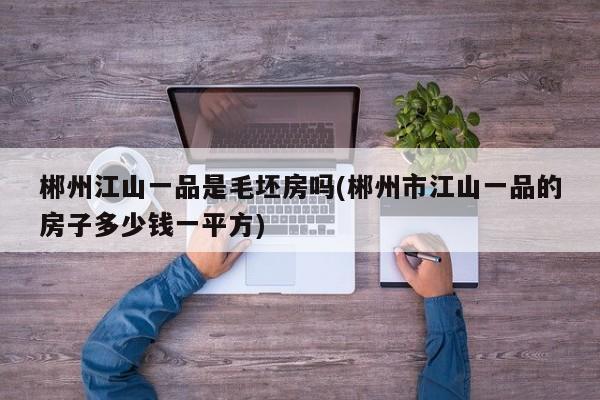 郴州江山一品是毛坯房吗(郴州市江山一品的房子多少钱一平方)