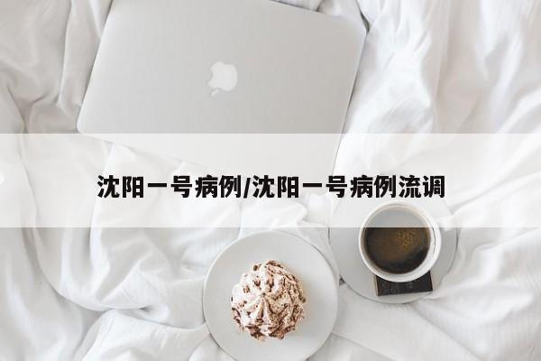 沈阳一号病例/沈阳一号病例流调