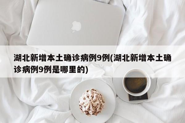 湖北新增本土确诊病例9例(湖北新增本土确诊病例9例是哪里的)
