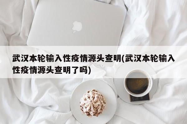 武汉本轮输入性疫情源头查明(武汉本轮输入性疫情源头查明了吗)