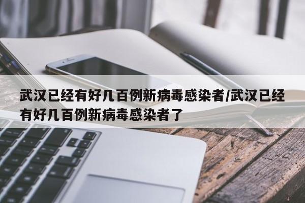 武汉已经有好几百例新病毒感染者/武汉已经有好几百例新病毒感染者了