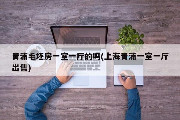 青浦毛坯房一室一厅的吗(上海青浦一室一厅出售)