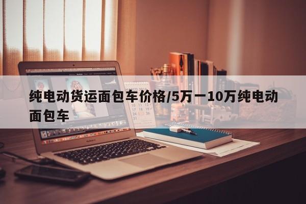 纯电动货运面包车价格/5万一10万纯电动面包车