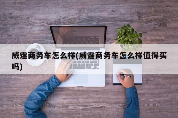 威霆商务车怎么样(威霆商务车怎么样值得买吗)