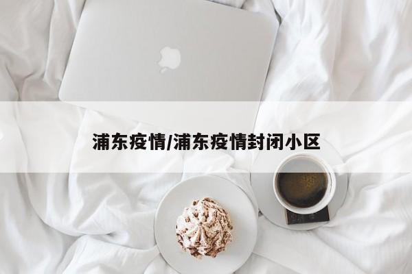 浦东疫情/浦东疫情封闭小区