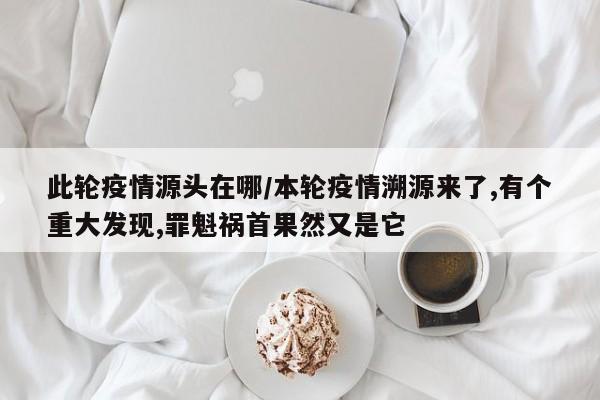 此轮疫情源头在哪/本轮疫情溯源来了,有个重大发现,罪魁祸首果然又是它