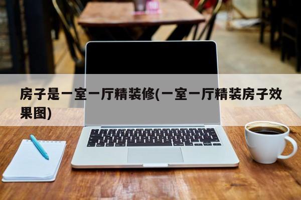 房子是一室一厅精装修(一室一厅精装房子效果图)