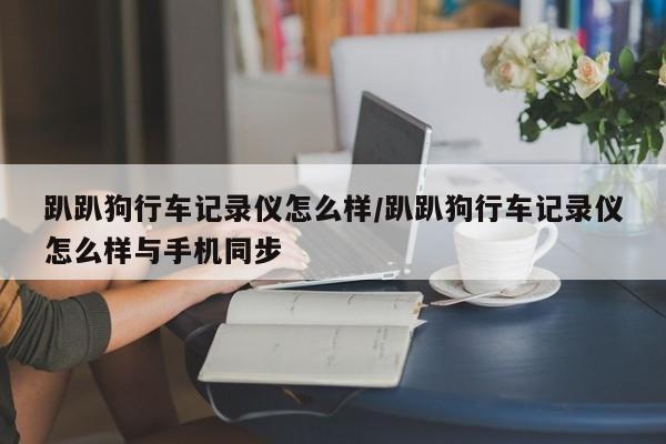 趴趴狗行车记录仪怎么样/趴趴狗行车记录仪怎么样与手机同步