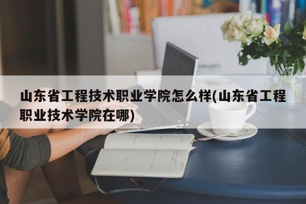 山东省工程技术职业学院怎么样(山东省工程职业技术学院在哪)