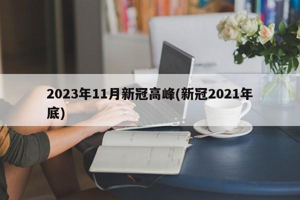 2023年11月新冠高峰(新冠2021年底)