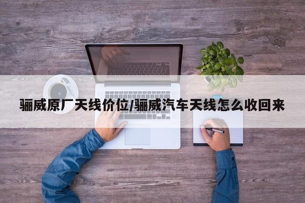 骊威原厂天线价位/骊威汽车天线怎么收回来