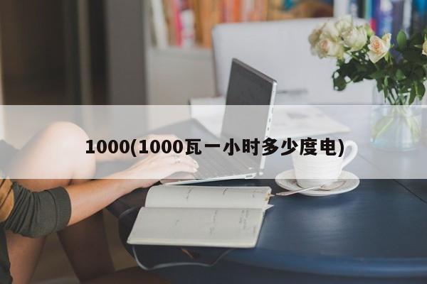 1000(1000瓦一小时多少度电)