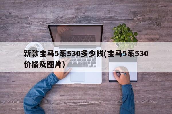 新款宝马5系530多少钱(宝马5系530价格及图片)