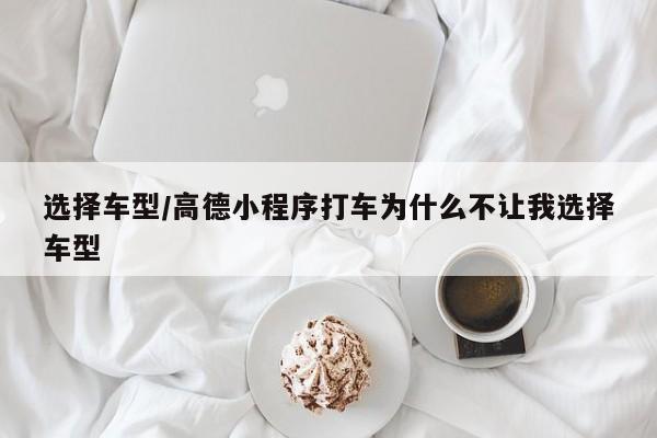选择车型/高德小程序打车为什么不让我选择车型