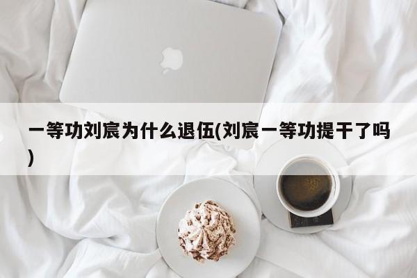 一等功刘宸为什么退伍(刘宸一等功提干了吗)
