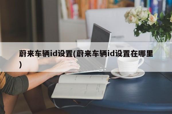 蔚来车辆id设置(蔚来车辆id设置在哪里)